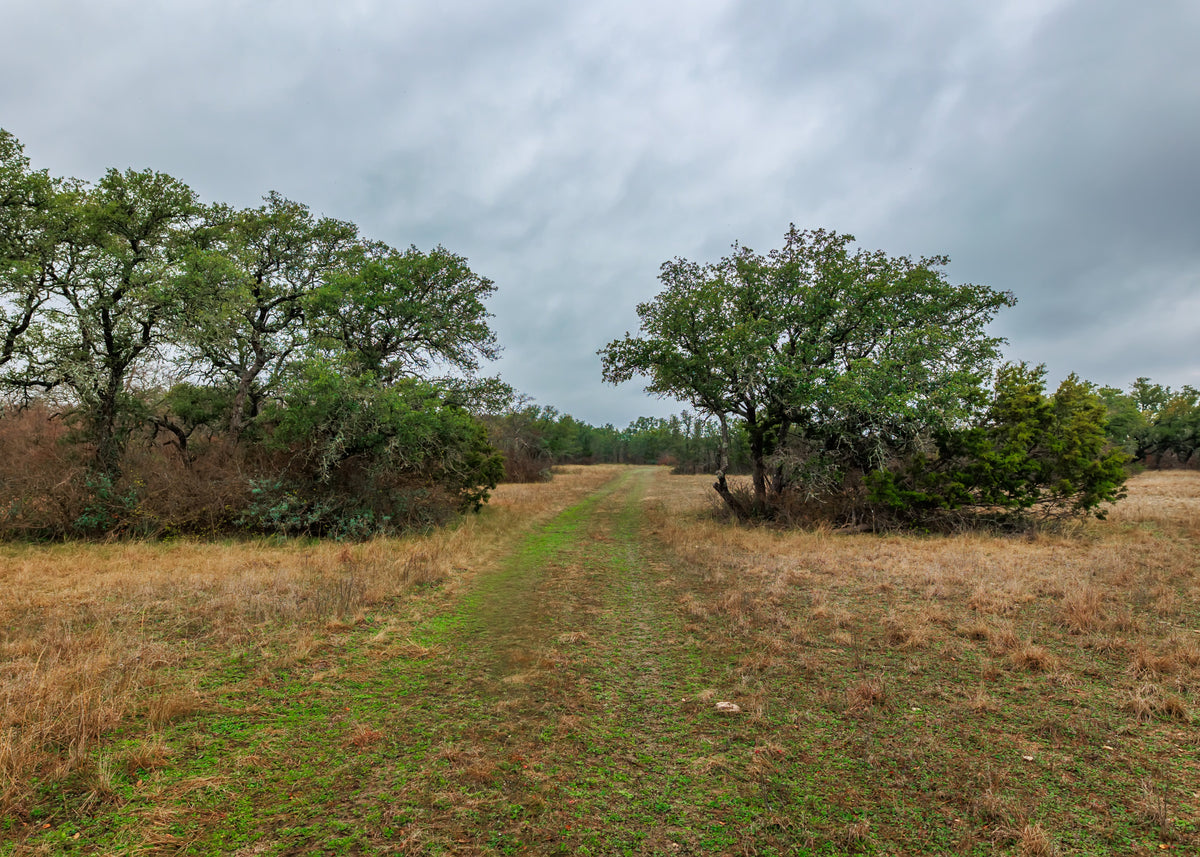 Hill Top Ranch