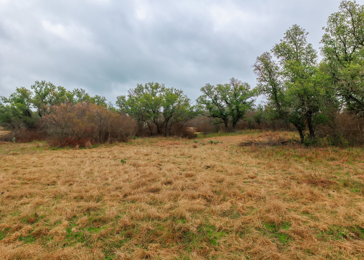 Hill Top Ranch