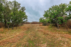 Hill Top Ranch