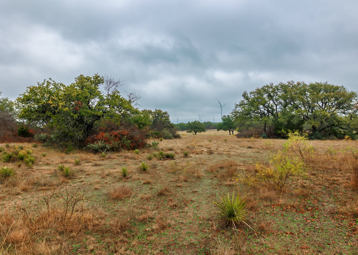 Hill Top Ranch