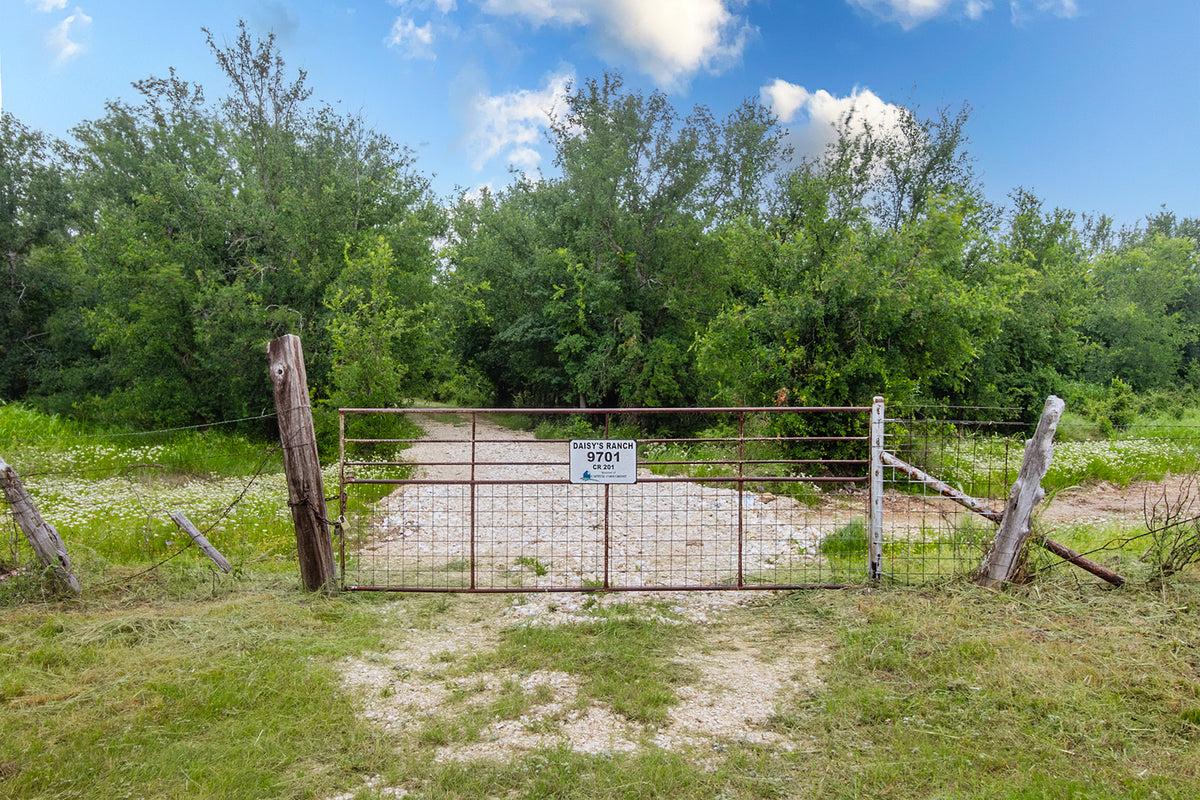 Daisy's Ranch