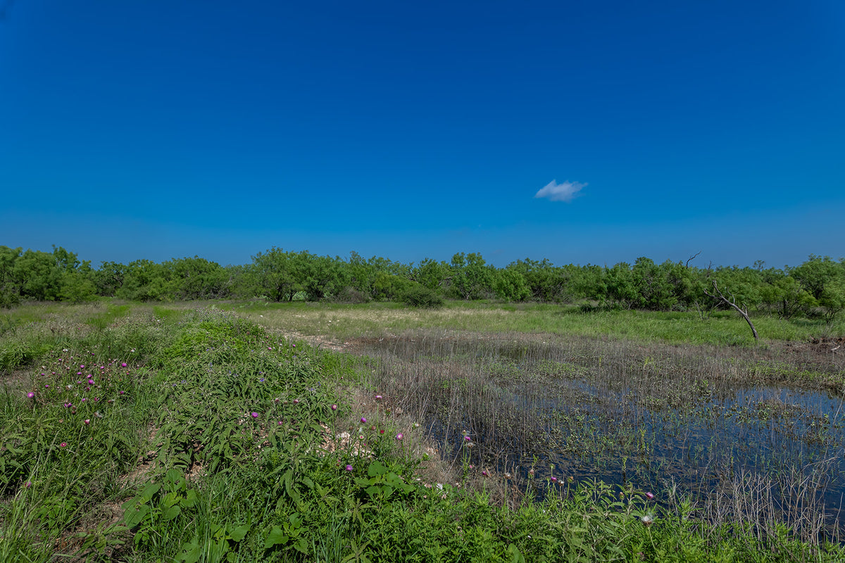 The Elbow Ranch