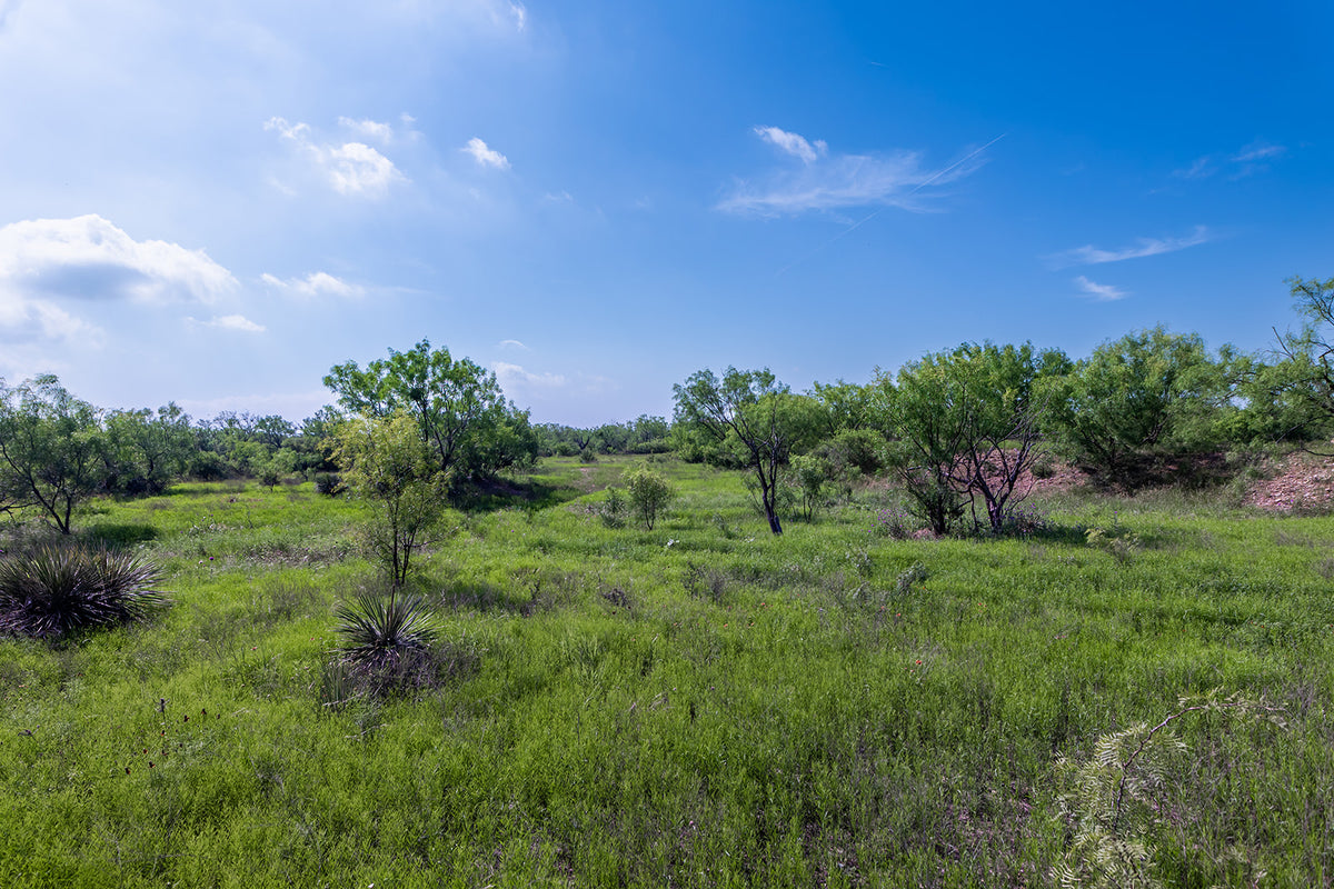The Elbow Ranch