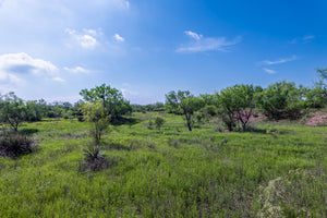 The Elbow Ranch