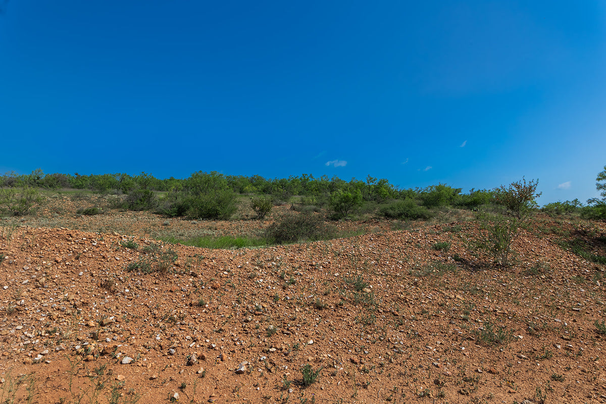 The Elbow Ranch