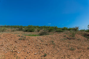 The Elbow Ranch