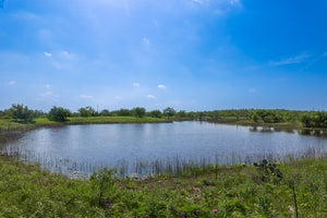The Elbow Ranch