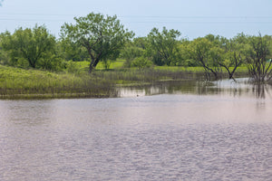 The Elbow Ranch