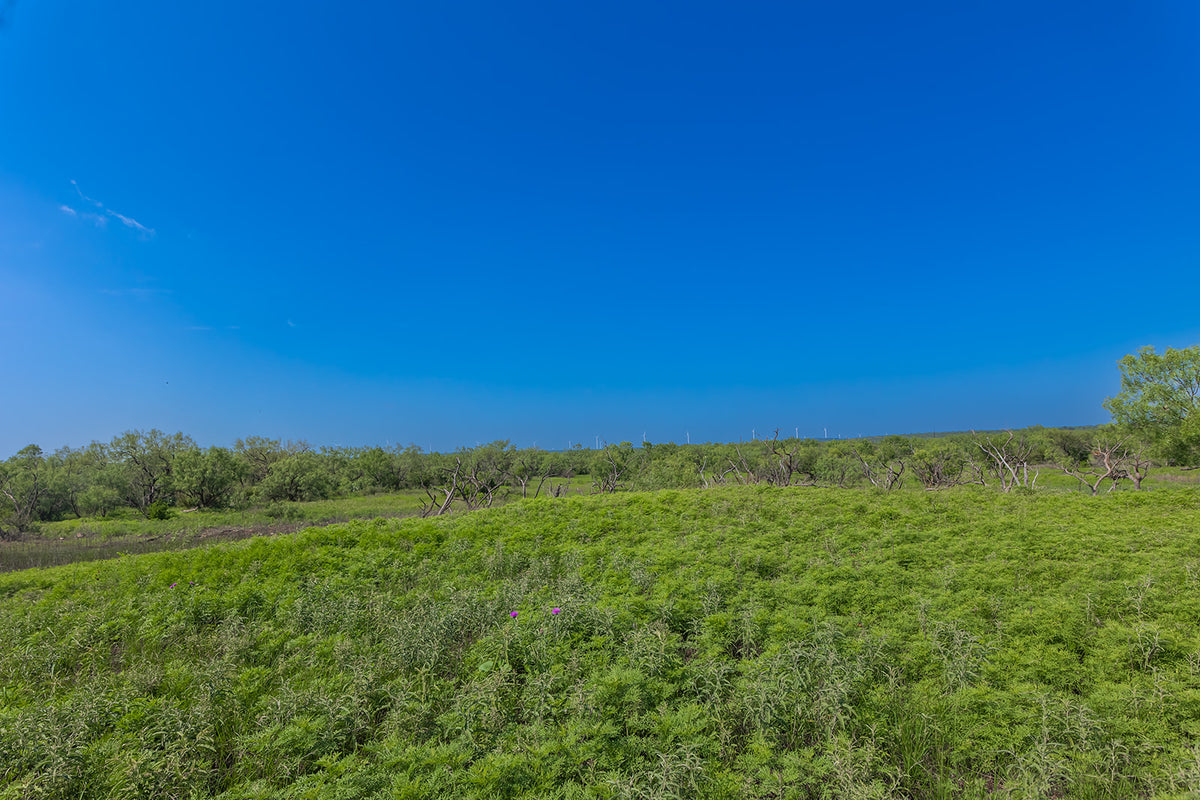 The Elbow Ranch