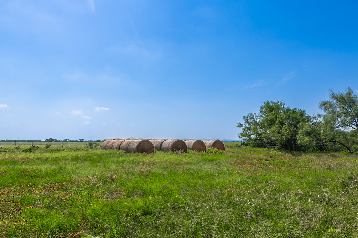 The Elbow Ranch