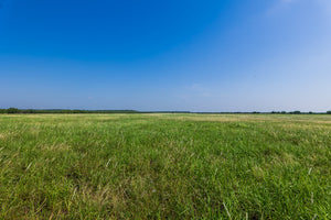 The Elbow Ranch