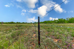 Tomlinson Ranch