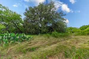 Tomlinson Ranch