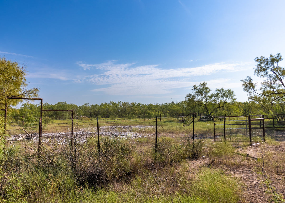 El Zopilote