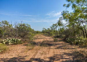 El Zopilote