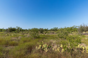 El Zopilote