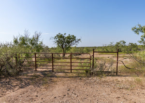 El Zopilote