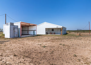 El Zopilote