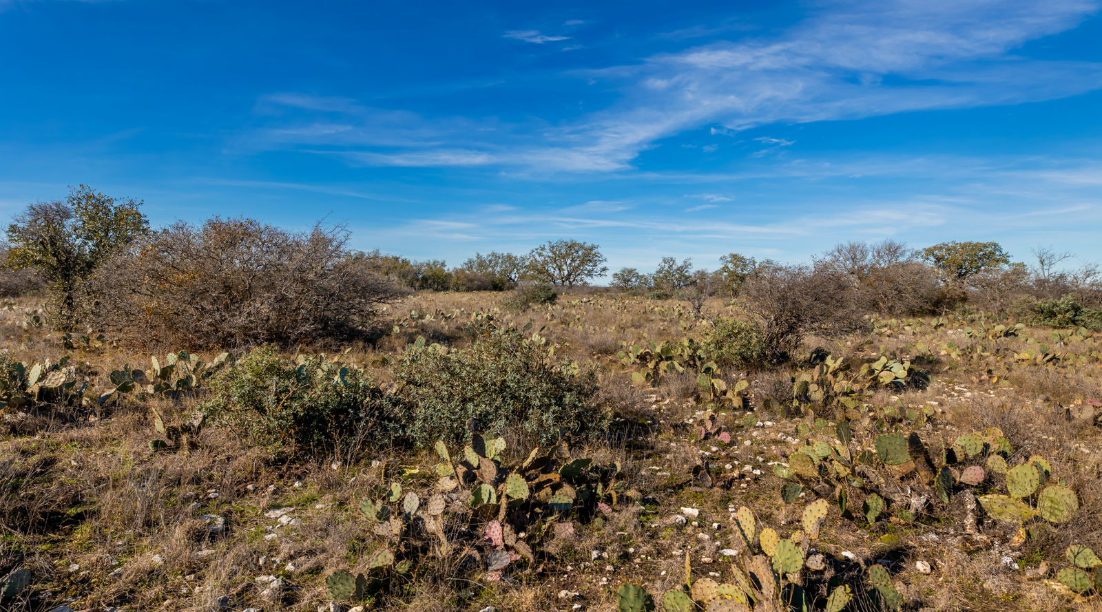 Buck Stop Ranch | 129-Acre Hunting Property with Barndominium for Sale in McCulloch County, Texas | Jacoby Land Co