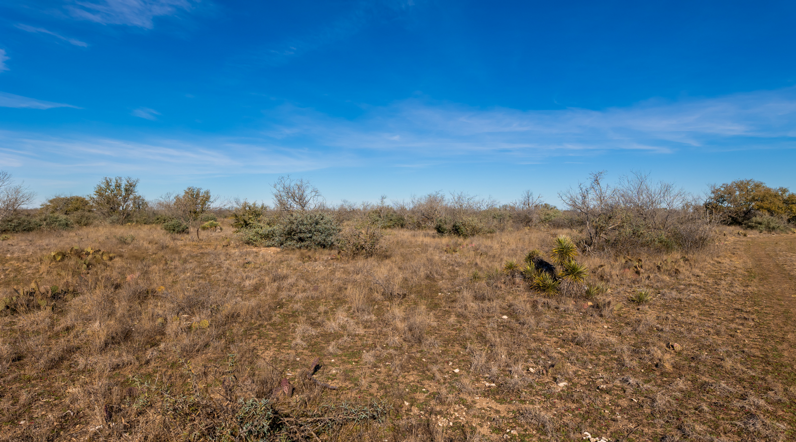 Buck Stop Ranch | 129-Acre Hunting Property with Barndominium for Sale in McCulloch County, Texas | Jacoby Land Co