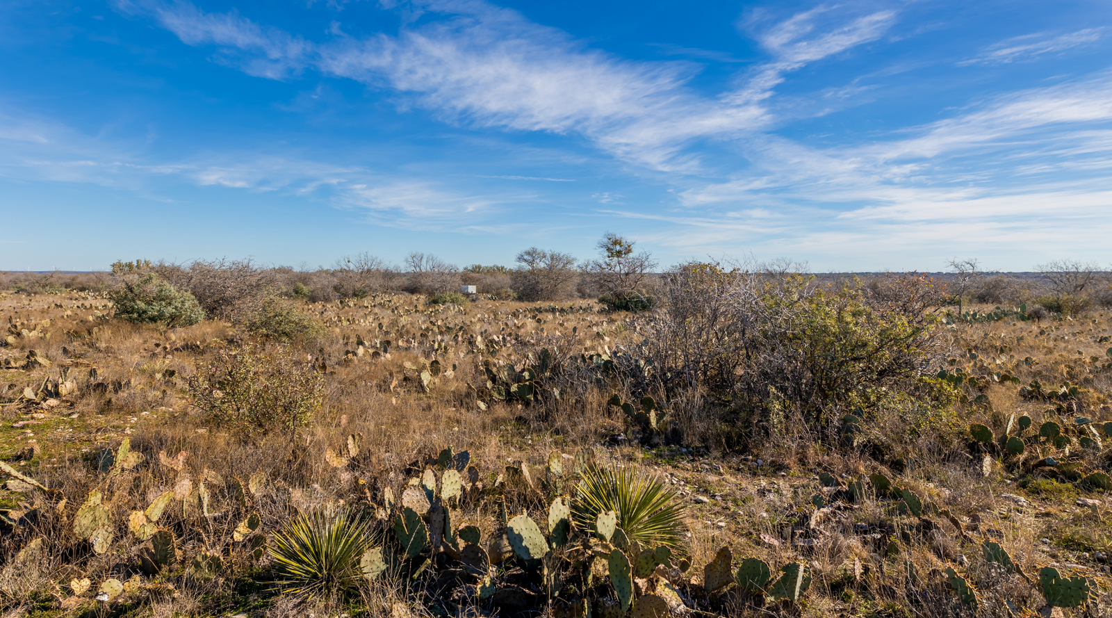 Buck Stop Ranch | 129-Acre Hunting Property with Barndominium for Sale in McCulloch County, Texas | Jacoby Land Co