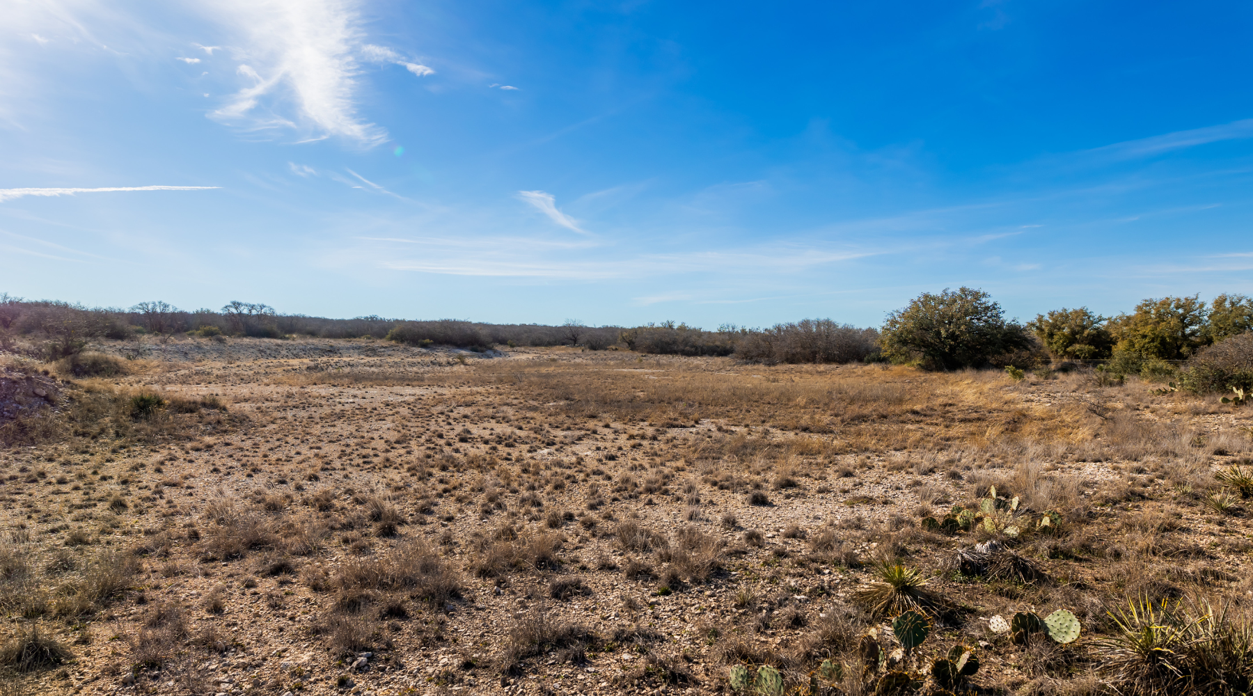 Buck Stop Ranch | 129-Acre Hunting Property with Barndominium for Sale in McCulloch County, Texas | Jacoby Land Co