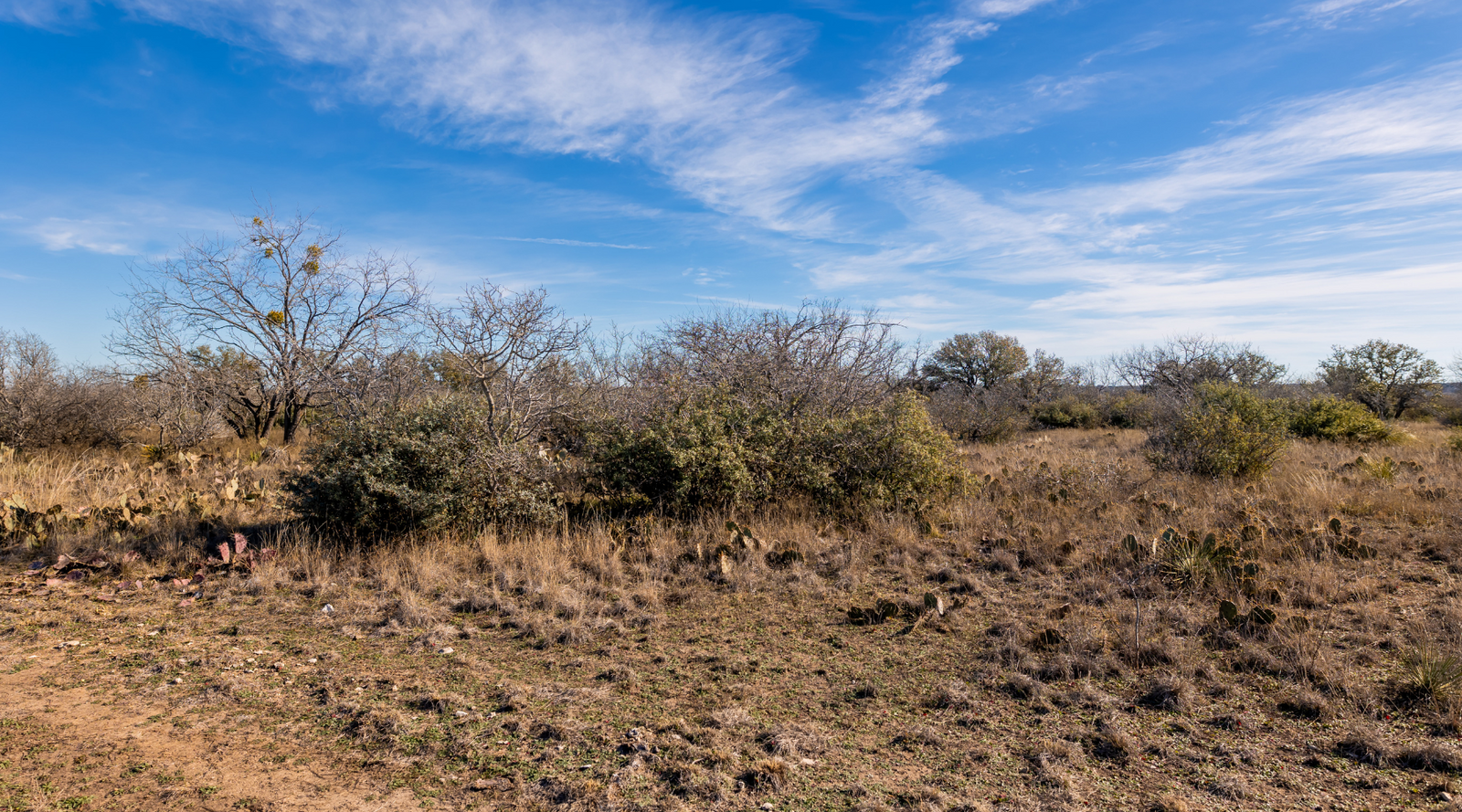Buck Stop Ranch | 129-Acre Hunting Property with Barndominium for Sale in McCulloch County, Texas | Jacoby Land Co