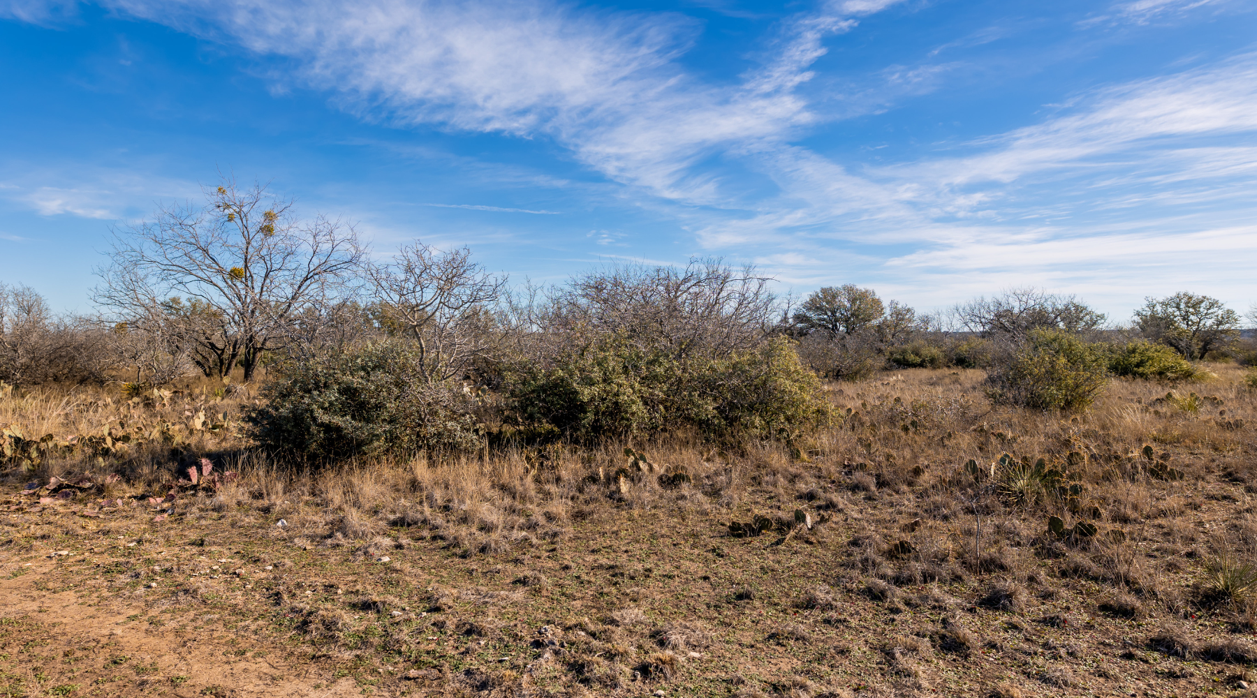 Buck Stop Ranch | 129-Acre Hunting Property with Barndominium for Sale in McCulloch County, Texas | Jacoby Land Co