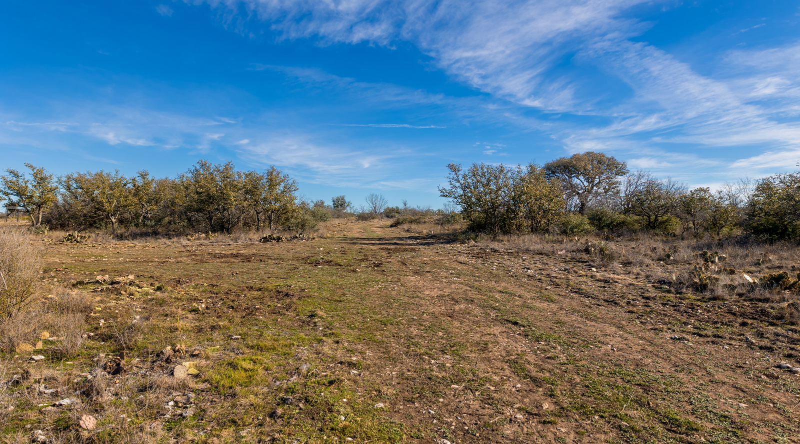 Buck Stop Ranch | 129-Acre Hunting Property with Barndominium for Sale in McCulloch County, Texas | Jacoby Land Co