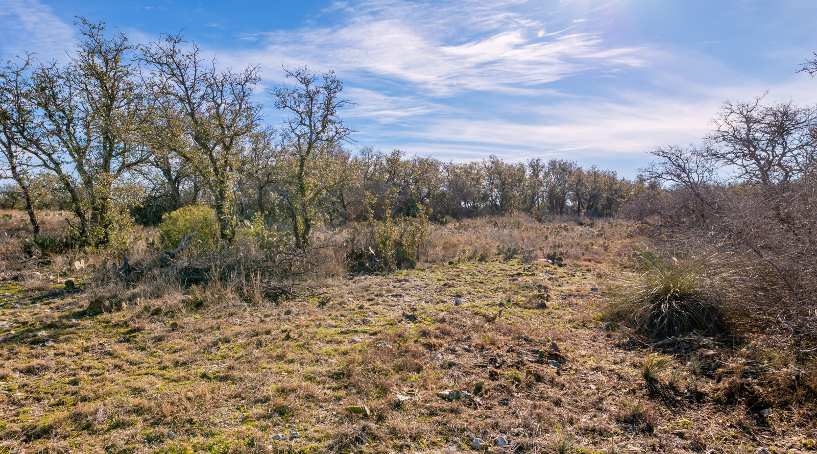 Buck Stop Ranch | 129-Acre Hunting Property with Barndominium for Sale in McCulloch County, Texas | Jacoby Land Co