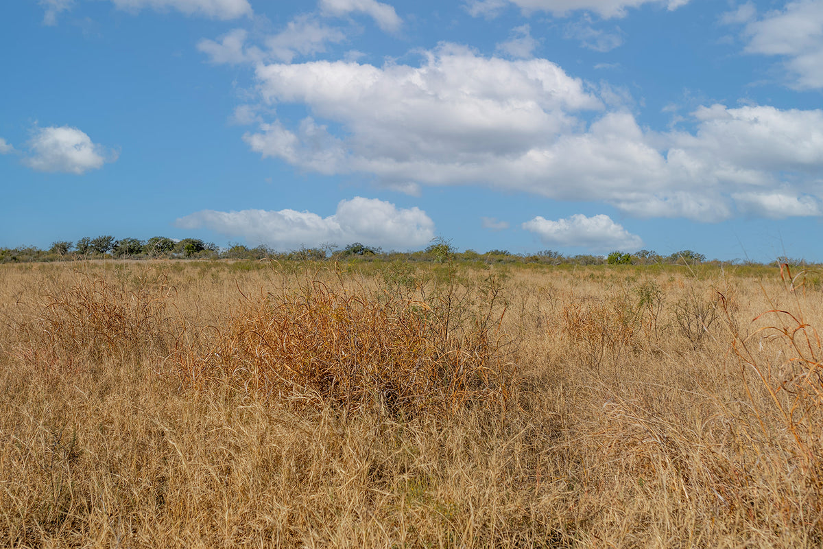 Dannheim Ranch