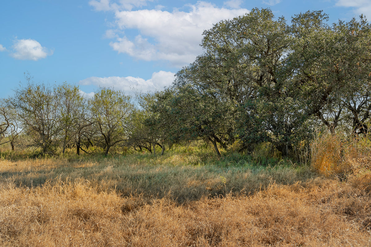 Dannheim Ranch