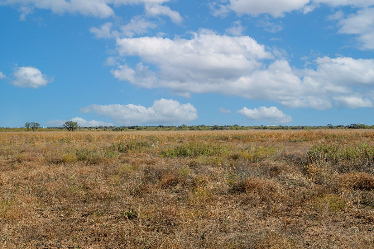Dannheim Ranch