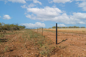 Dannheim Ranch