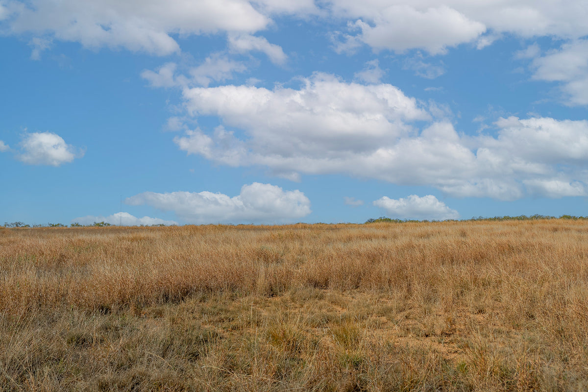 Dannheim Ranch