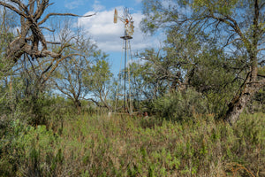 Dannheim Ranch