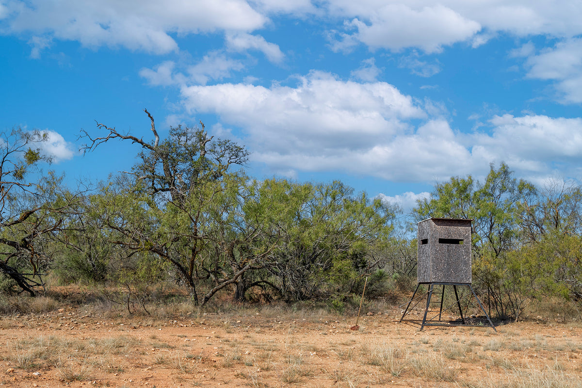 Dannheim Ranch