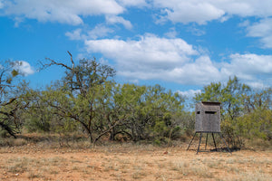 Dannheim Ranch