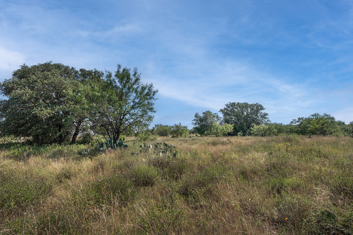 Randor Ranch