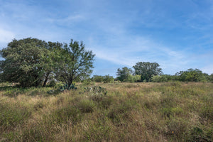 Randor Ranch
