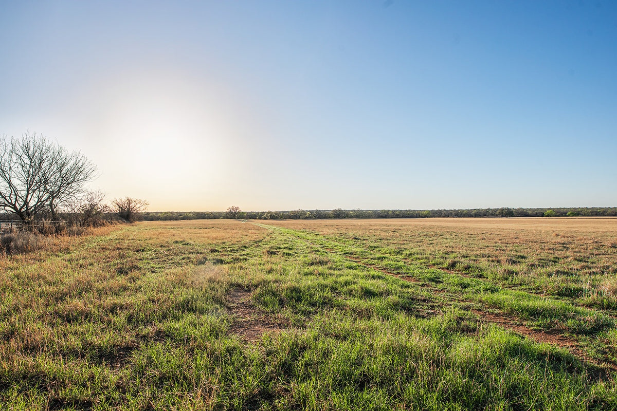Antelope Camp & Farm