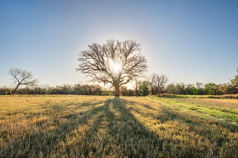 Antelope Camp & Farm