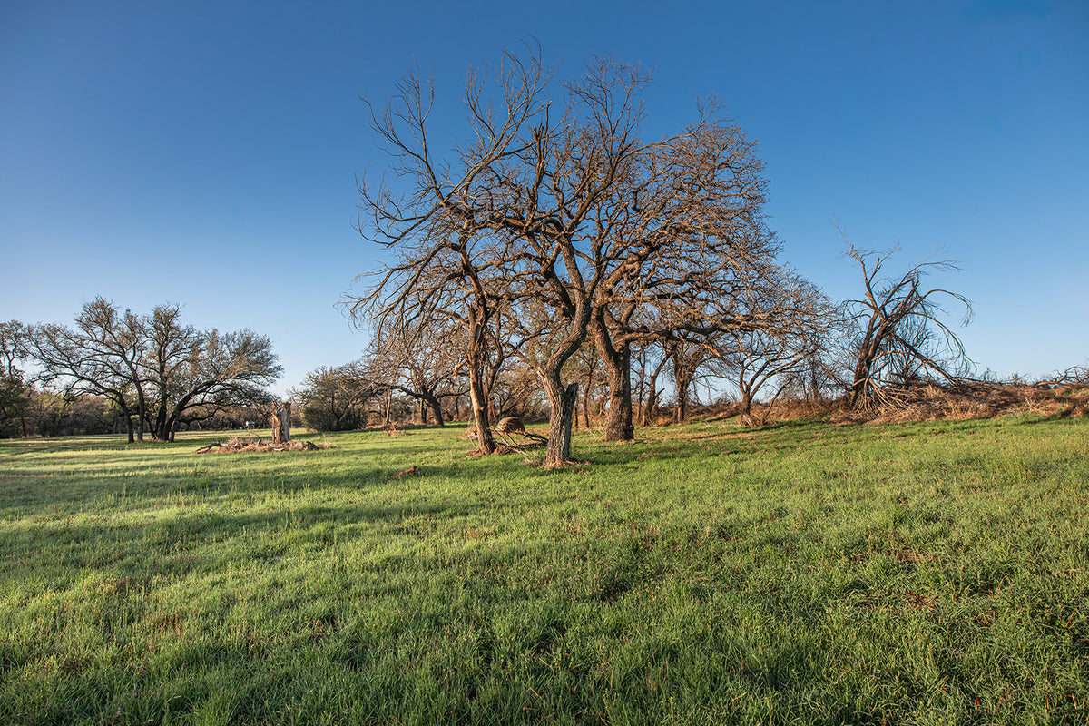 Antelope Camp & Farm