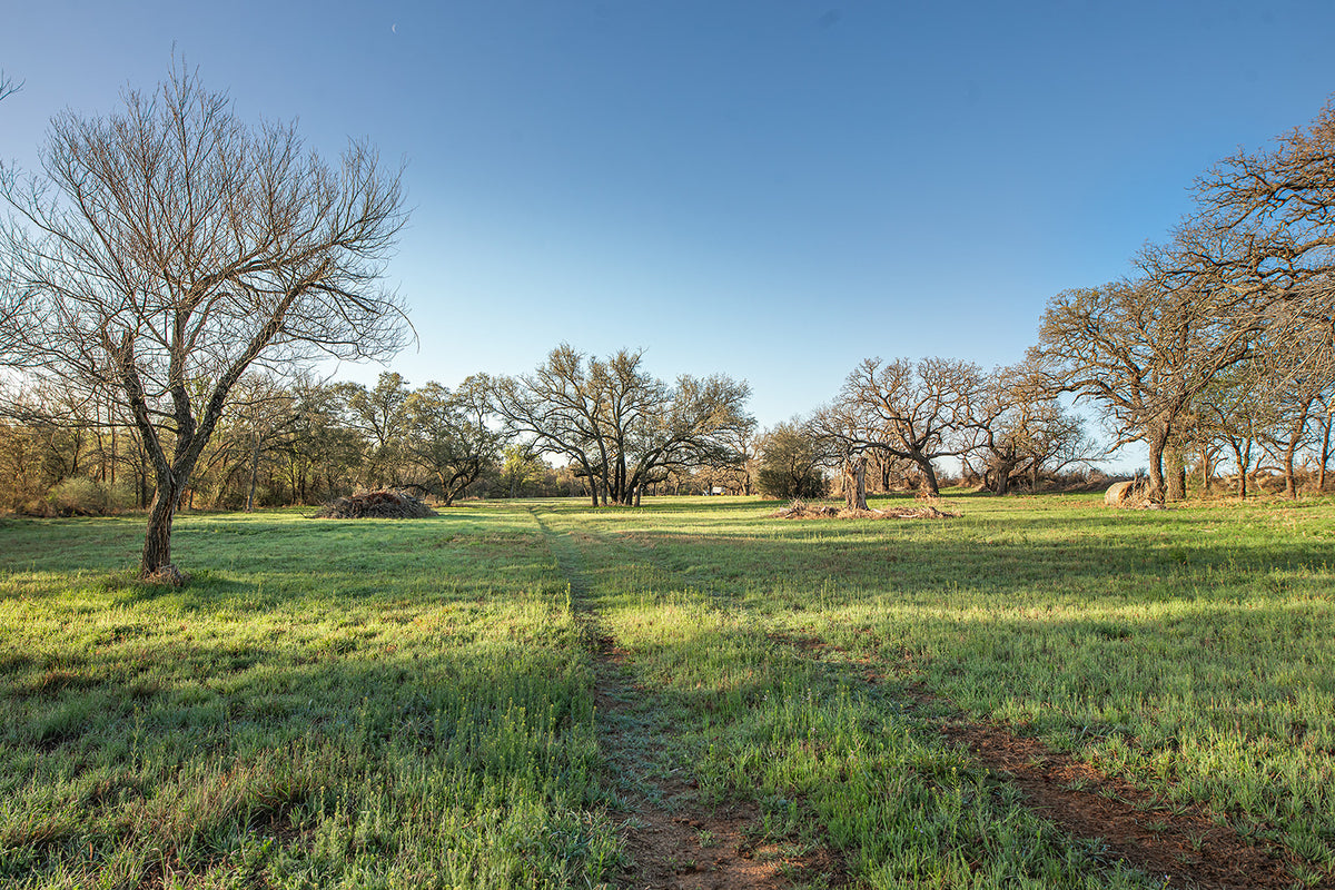 Antelope Camp & Farm