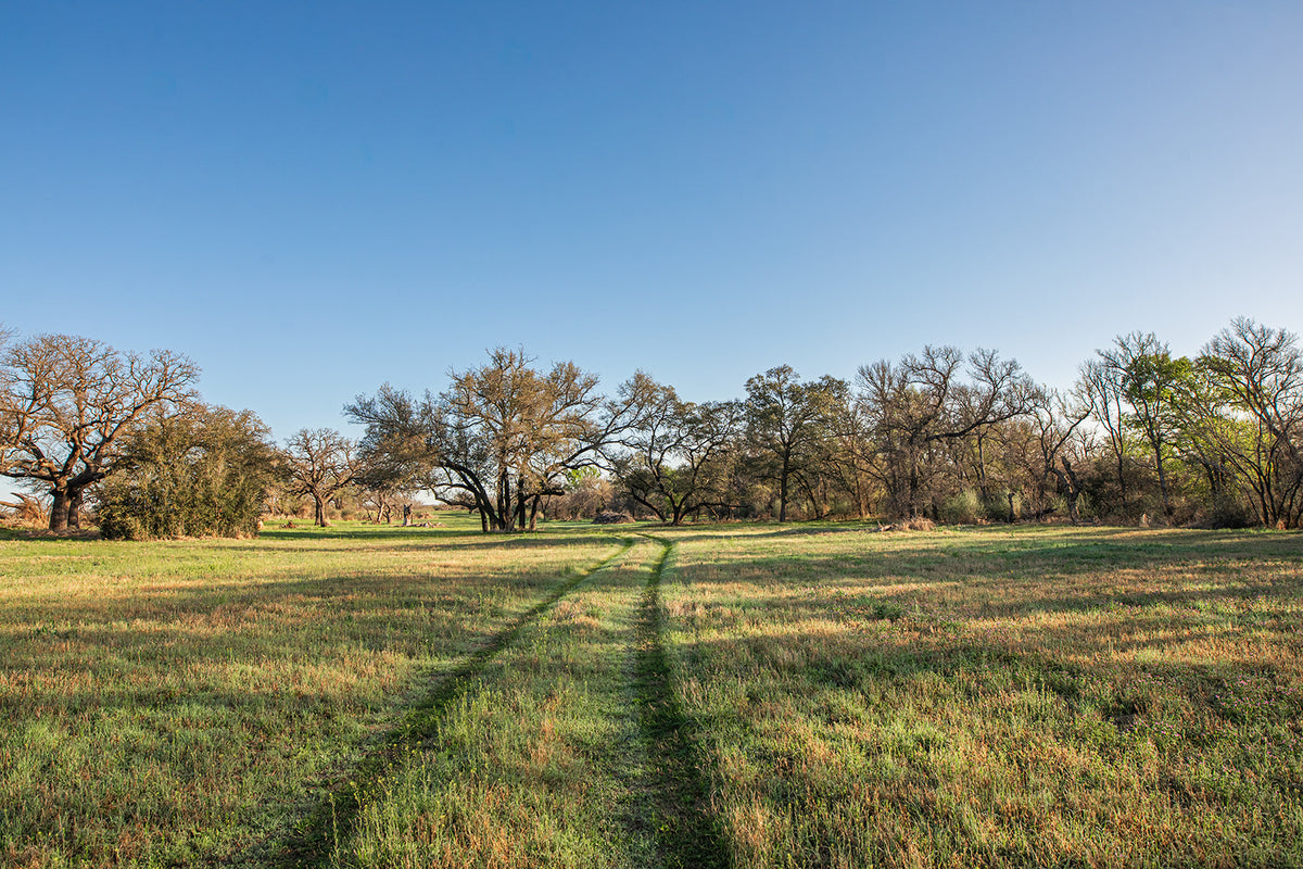 Antelope Camp & Farm