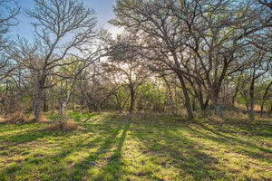 Antelope Camp & Farm