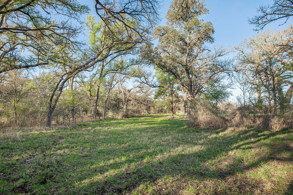 Antelope Camp & Farm