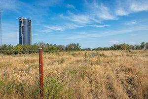 Shady Oaks Ranch