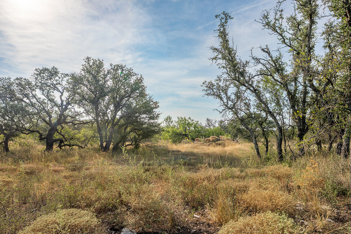 Shady Oaks Ranch