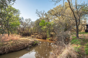 Antelope Camp & Farm